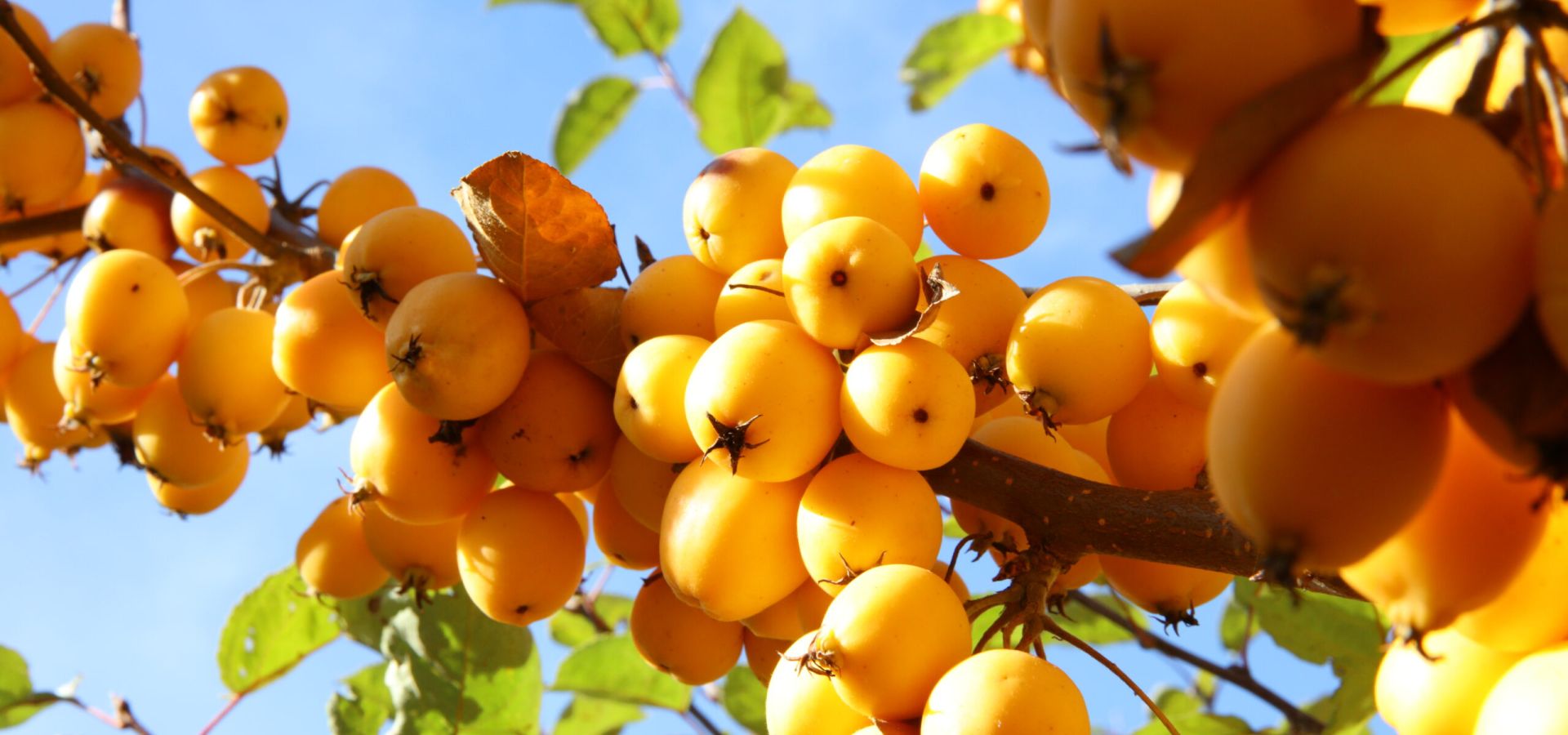 Nachhaltigkeitsbericht