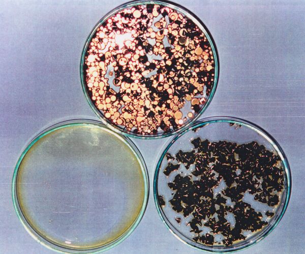 Bildbeschreibung: wp-content/uploads/2025/02/Alterung-gut.jpg