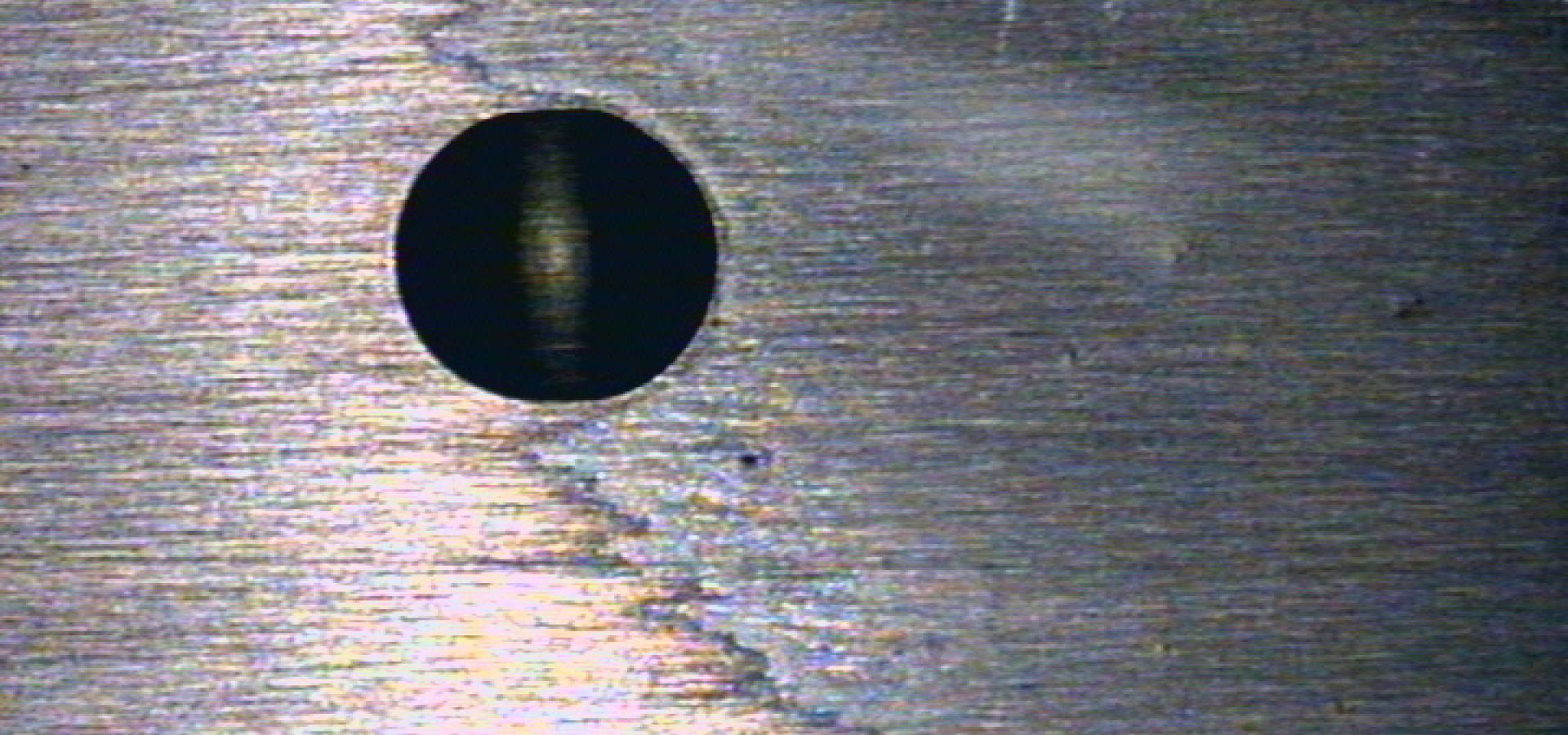 Homepage zum Thema Epilamisierung